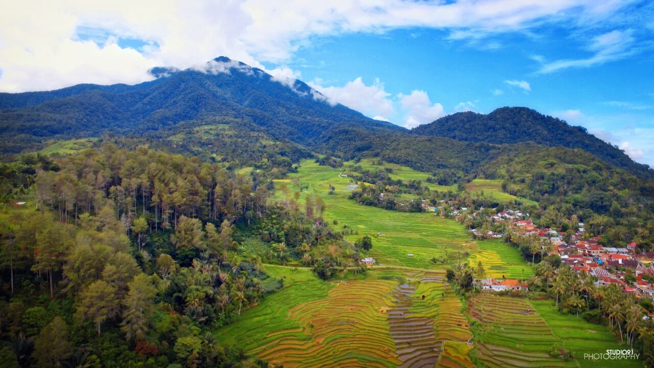 Balai Desa Godong