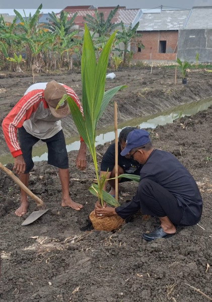Lounching Penanaman Bibit Kelapa Genjah Entog BUMDES GODONG MAKMUR GODONG